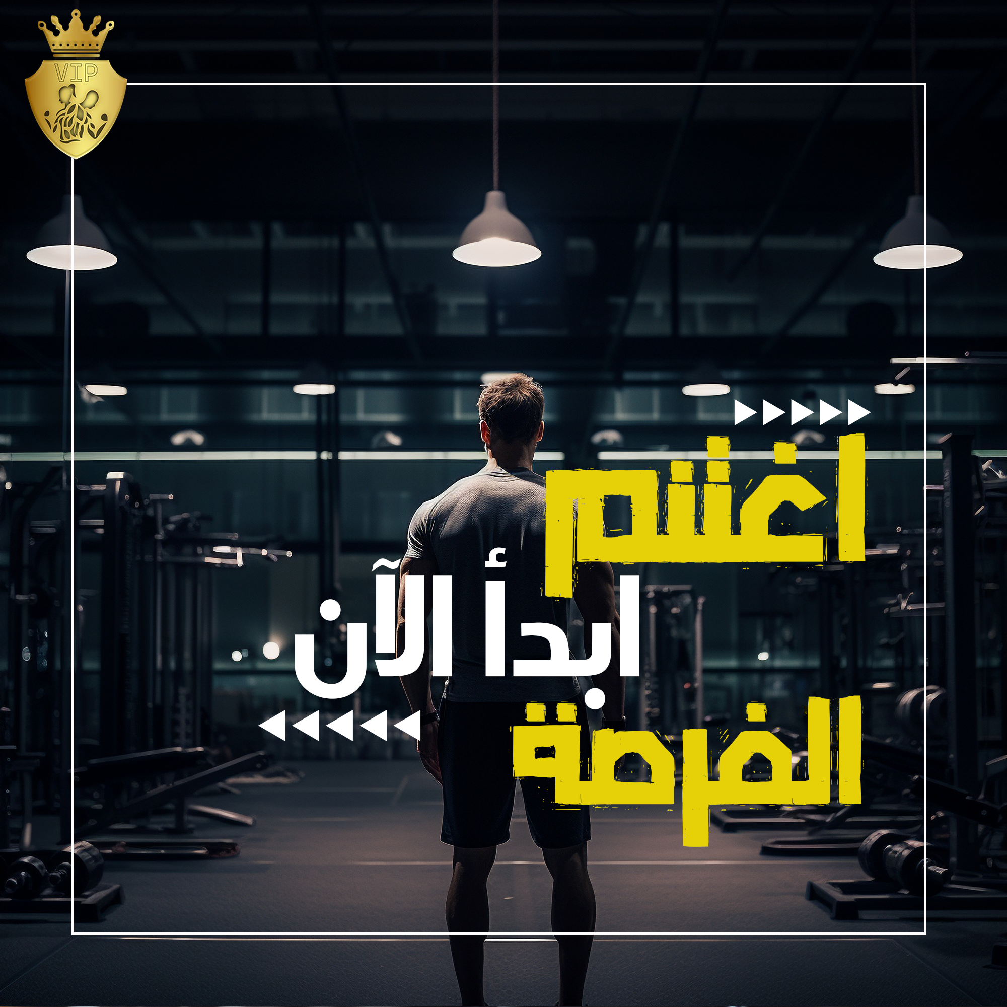 iqmedia